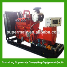 Reliable quality gas electric generator with world famous brand